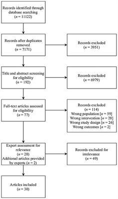 Online Indicated Preventive Mental Health Interventions for Youth: A Scoping Review